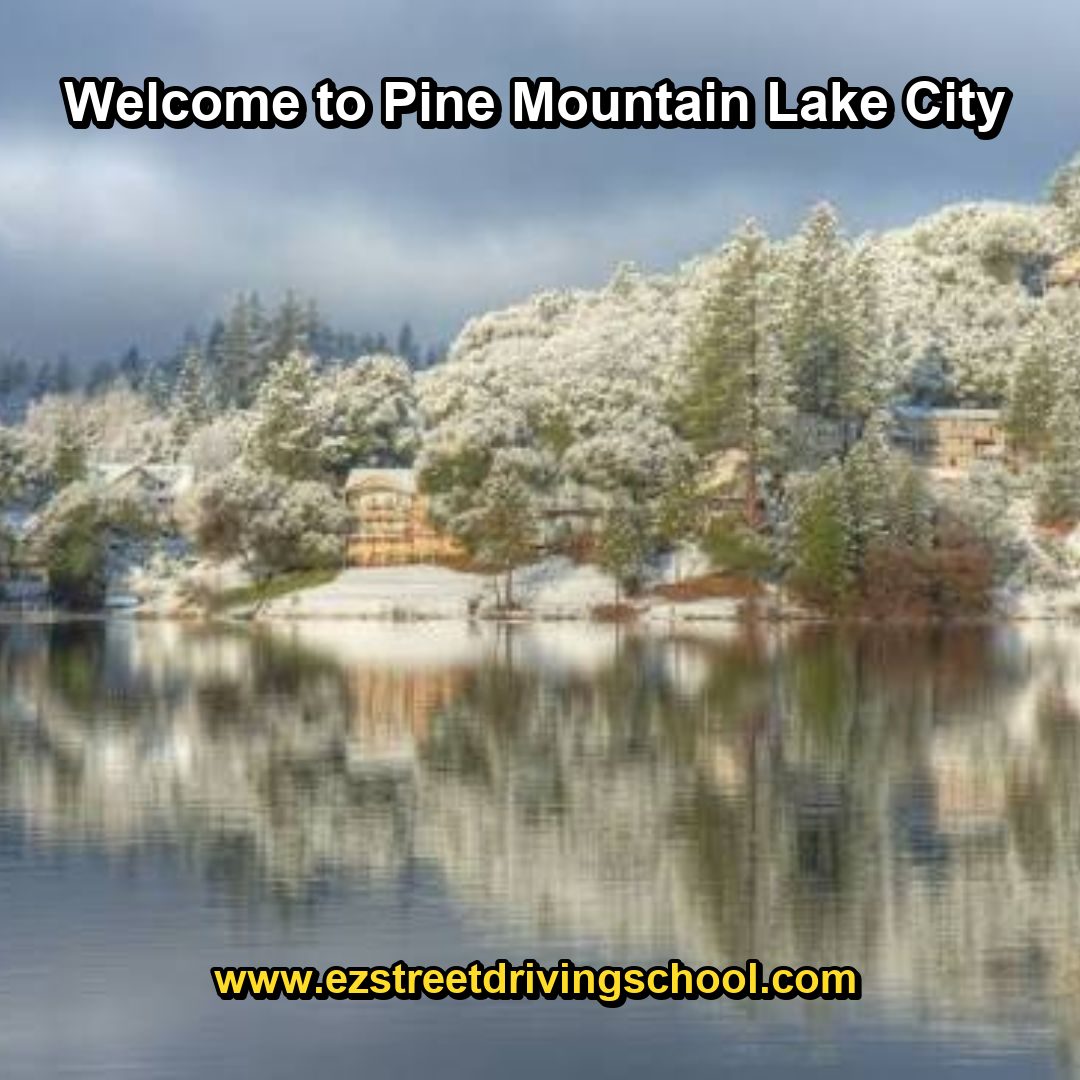 Driving Lessons in Pine Mountain Lake